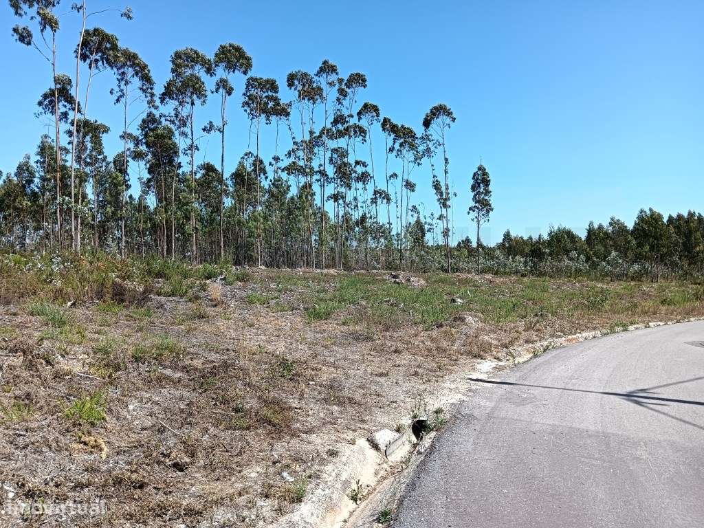 Terreno para construção - Albergaria-a- Velha - Angeja - Grande imagem: 5/9
