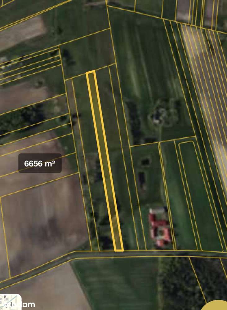 Chojny, 4 działki o łącznej powierzchni 3,5ha, zab.siedliskowa-4