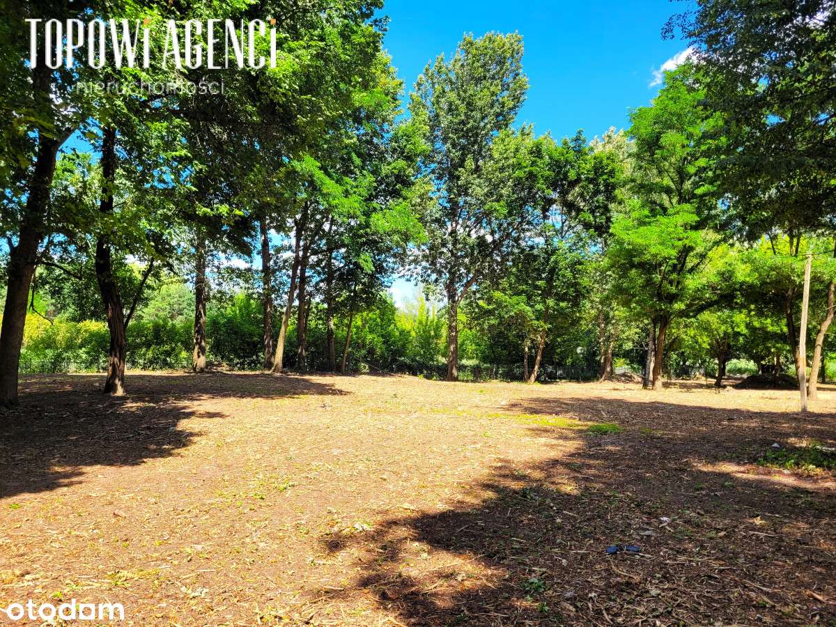 Działka budowlano-usługowa pod Konstancinem 1,2 ha - Pełny obrazek: 4/6