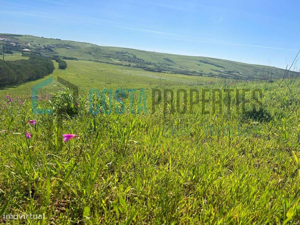 Terreno Rustico na Encantadora Aldeia Raposeira - Grande imagem: 4/18