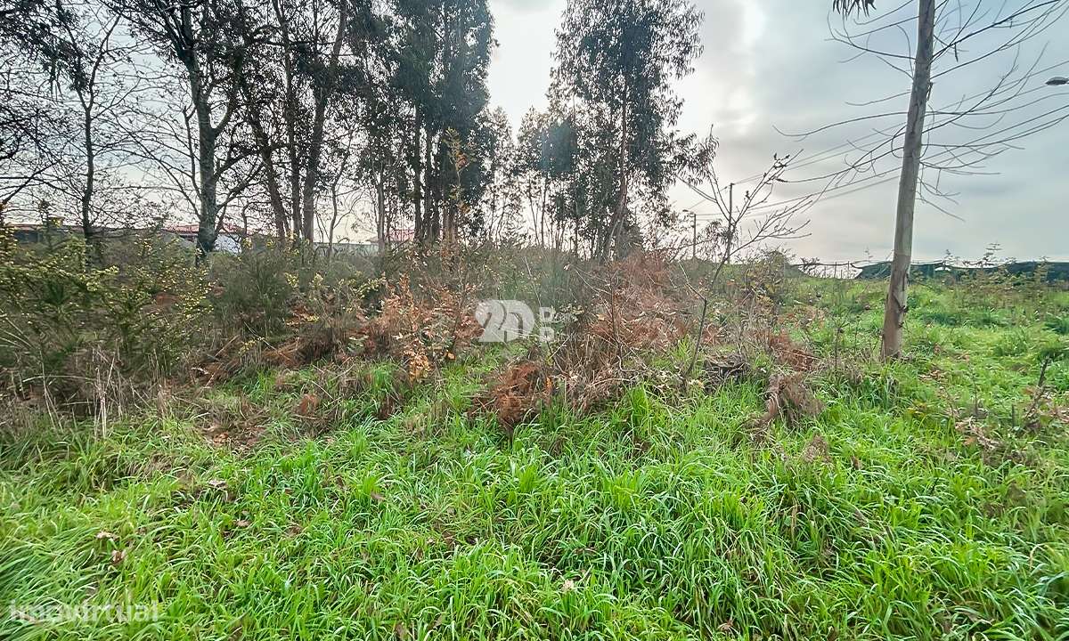 Terreno 4.800m² - Louro - Grande imagem: 4/12