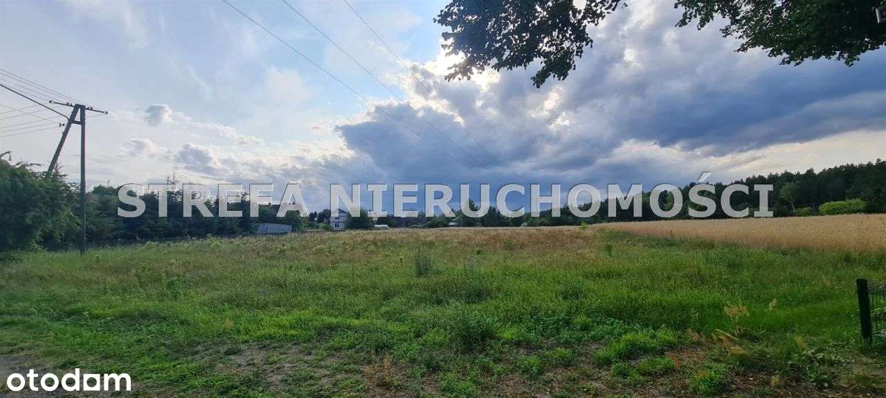 Działka Bory Tucholskie w Mukrz - Pełny obrazek: 4/8