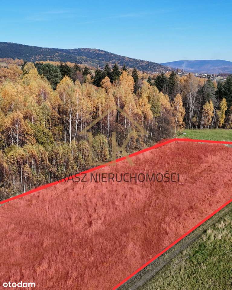 Widokowa działka rolna w Naprawie!-2