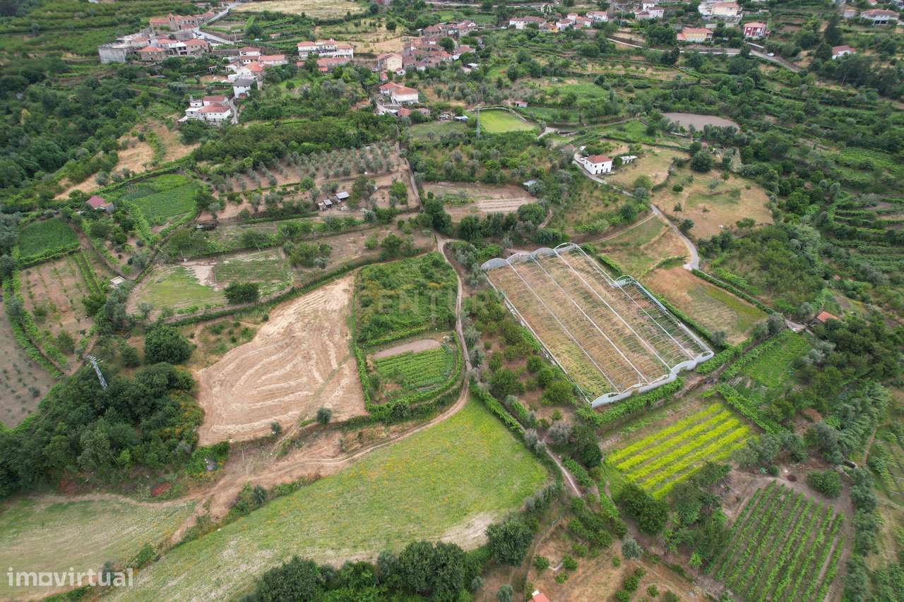 Quinta em Miomães, Resende | Um refúgio rural com cerca de 4 hectares-8