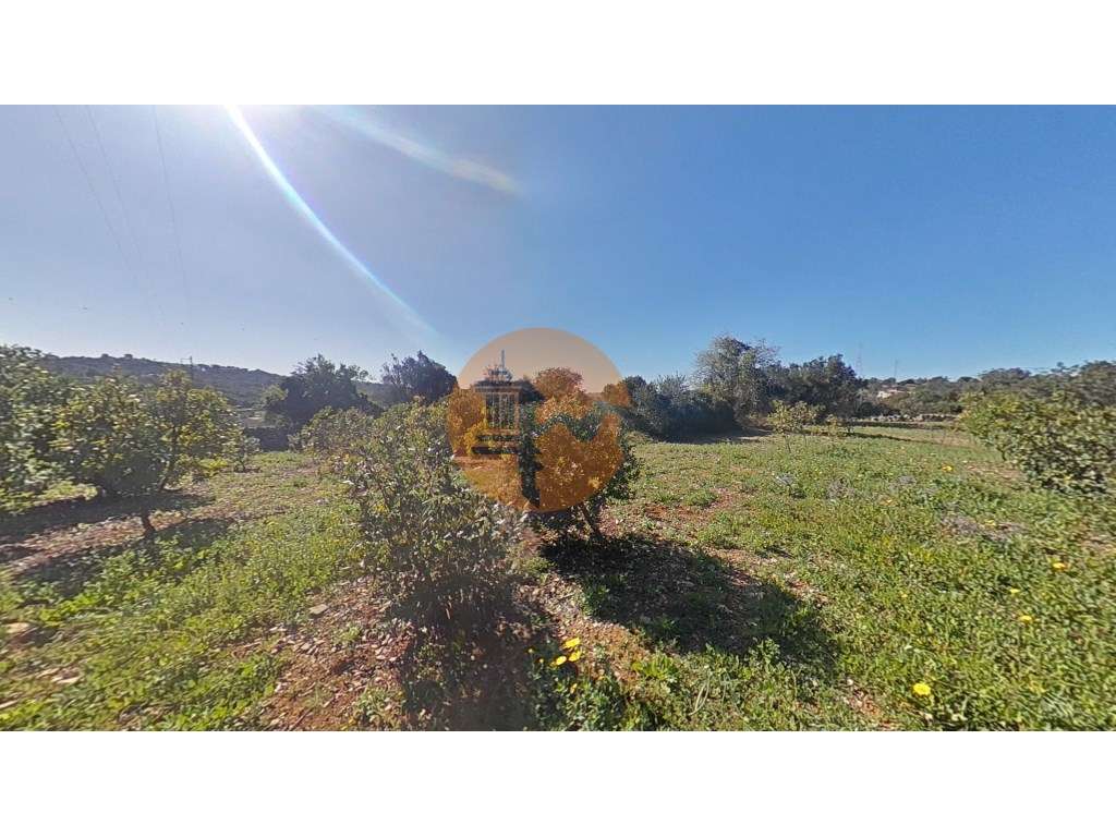 Terreno Rústico - Grande imagem: 1/25