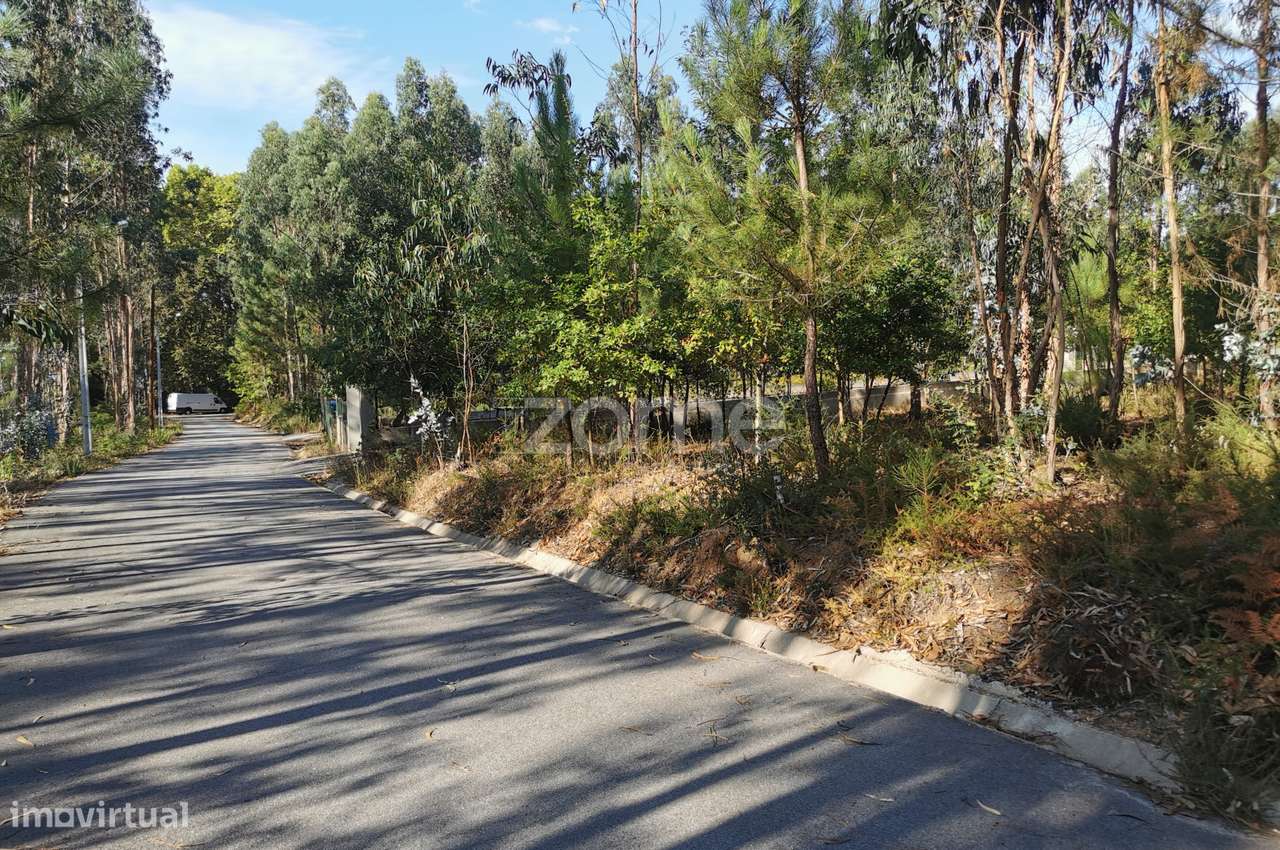 Terreno, acesso betuminoso, viabilidade construtiva, Recardães, Águ... - Grande imagem: 2/21