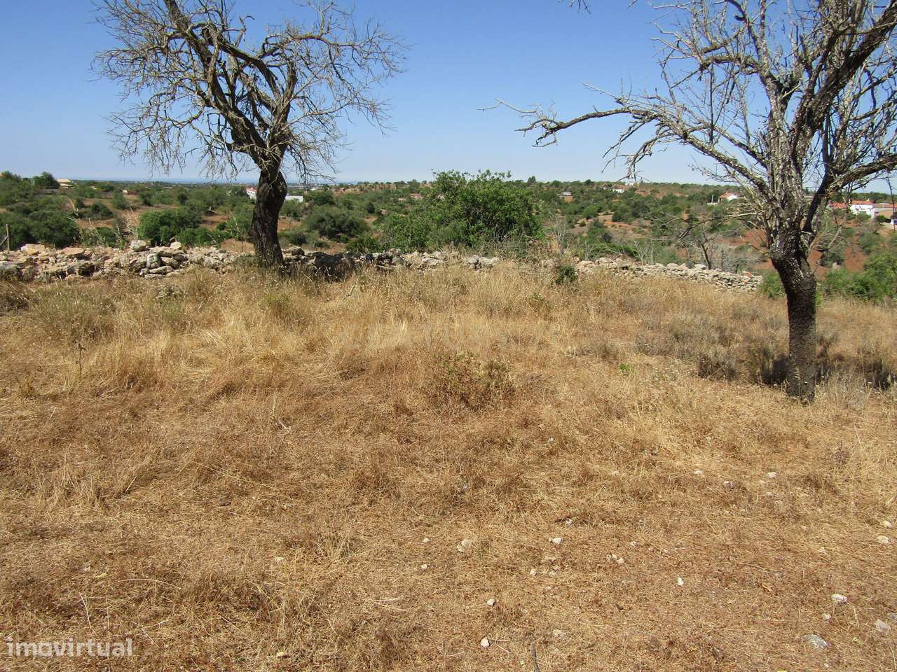 Terreno Rústico - Grande imagem: 4/11