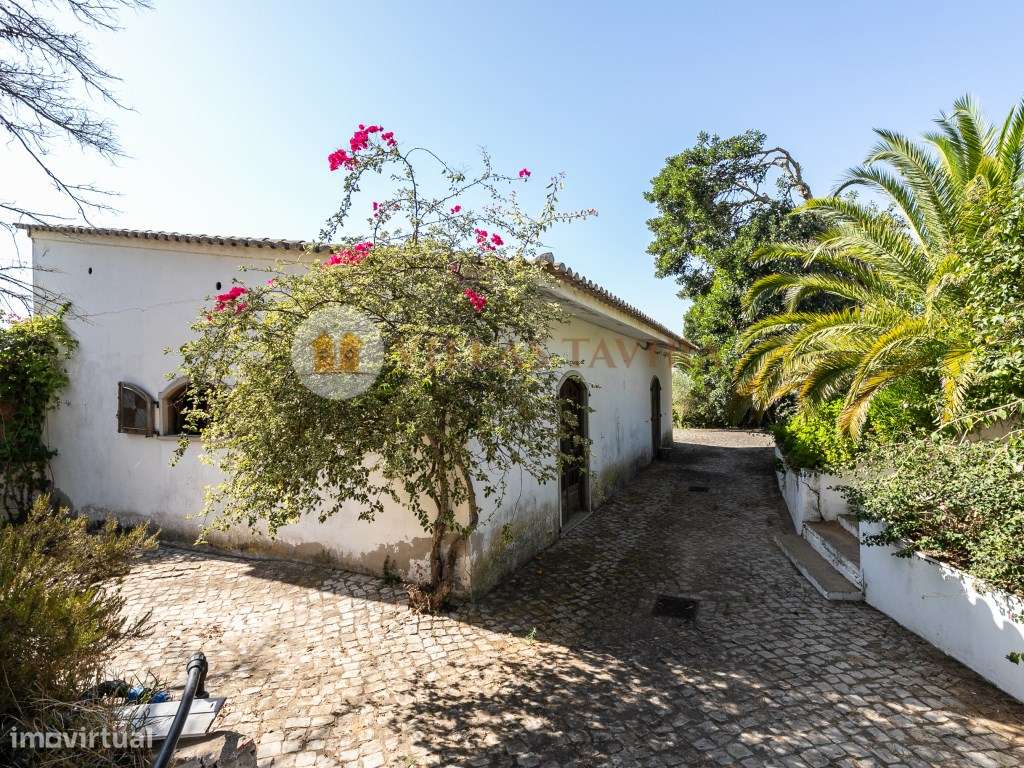 Quinta T4 - Praia de Altura-17