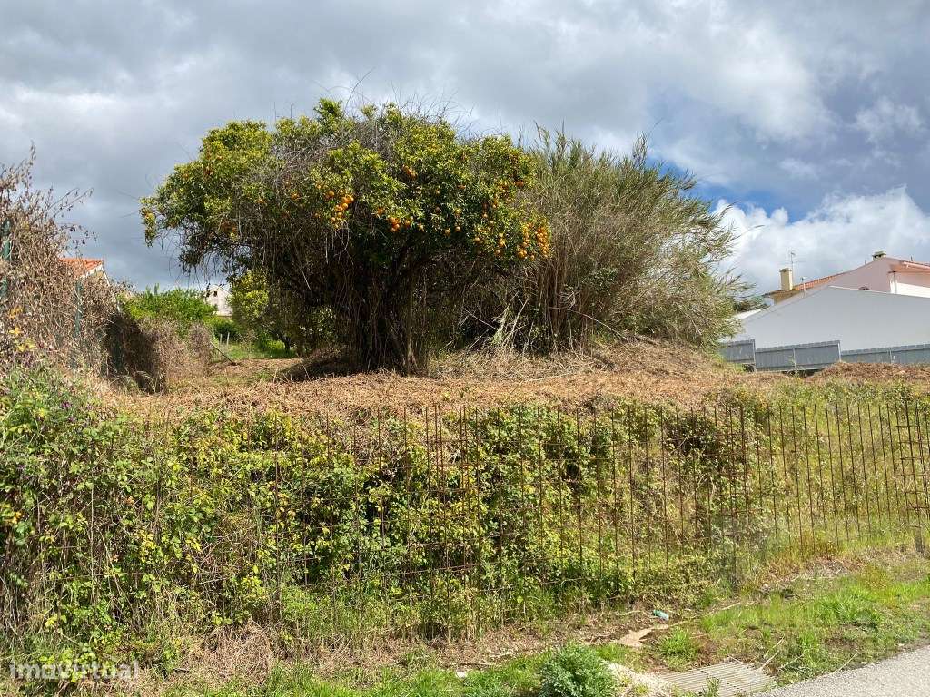 Vende-se lote com 1.500m2 na Redonda - Lordemão - Grande imagem: 5/18