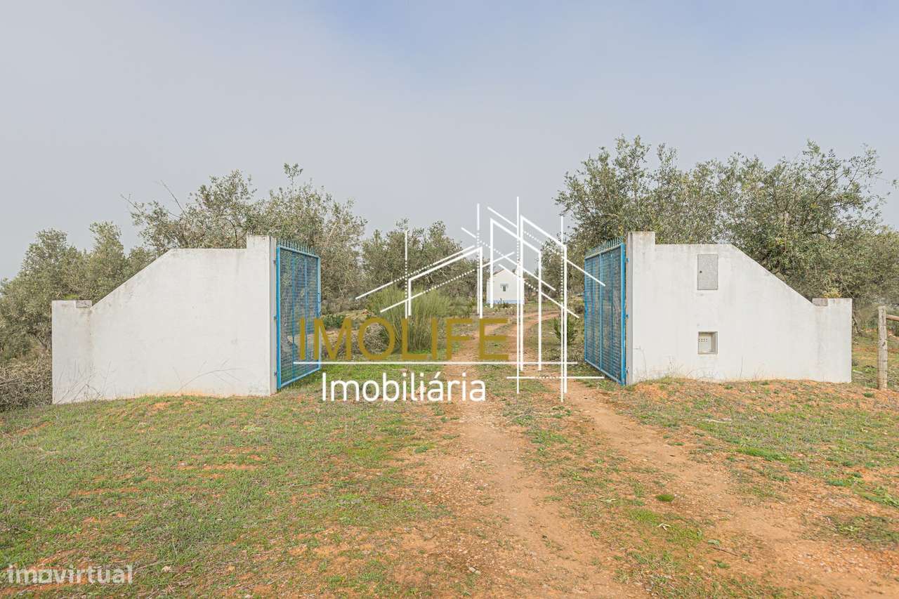 MONTINHO DO CHIADO - MALARRANHA - PAVIA-29