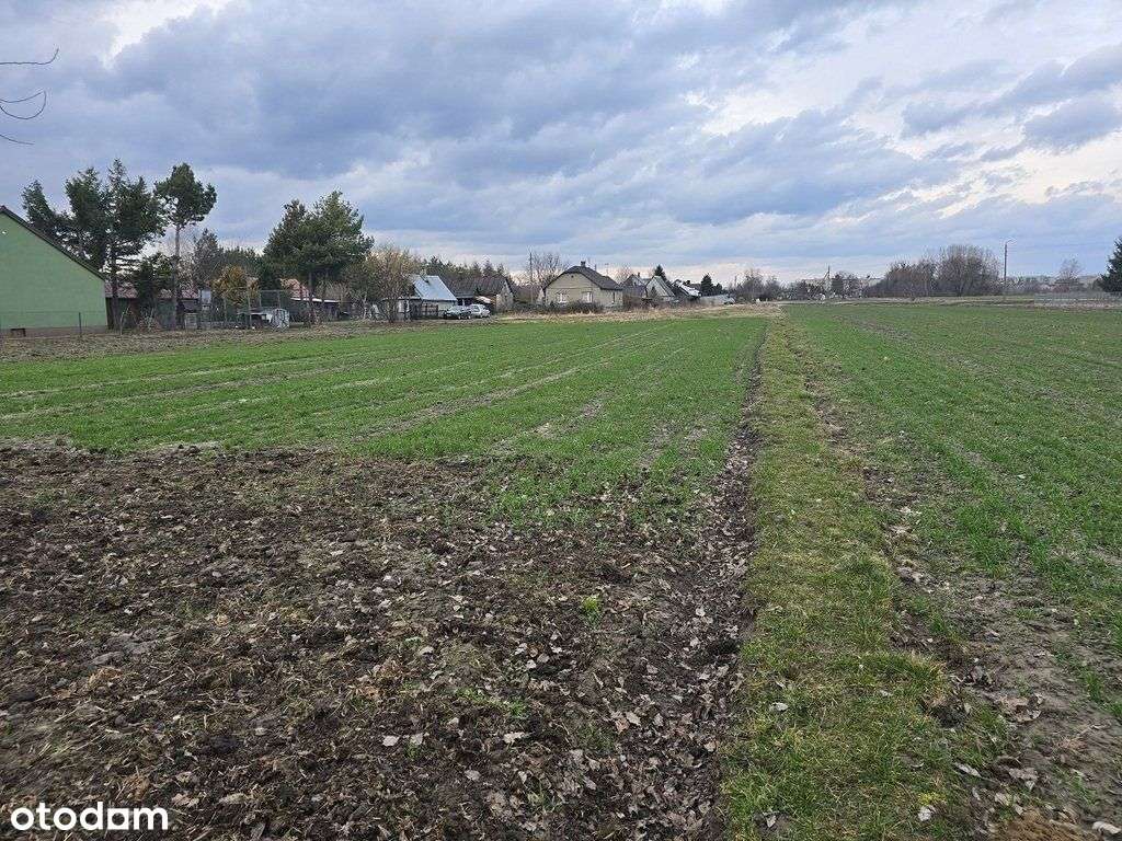 Na sprzedaż dom z dwiema działkami - Terespol-17