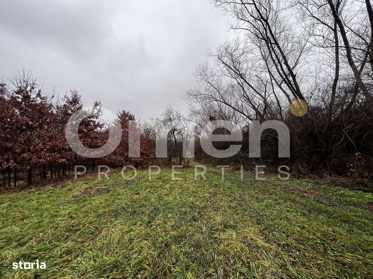 Teren intravilan | 30 ari | front stradal 50 m | investitie ideala | M - Imagine principală: 3/7