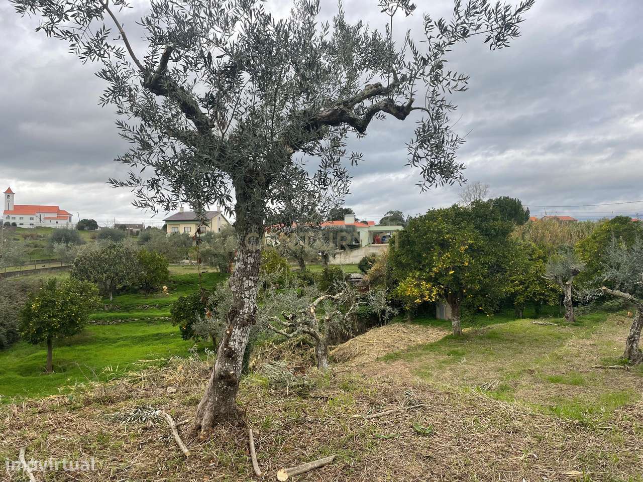 Terreno em Martinchel, Abrantes - Grande imagem: 5/11