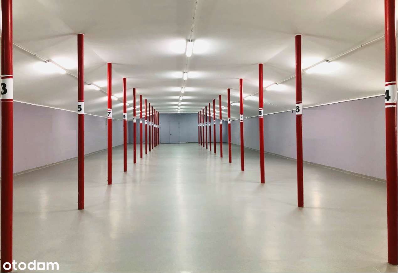 Zmodernizowany magazyn z zapleczem biurowym – 9 km od Warszawy - Pełny obrazek: 5/5