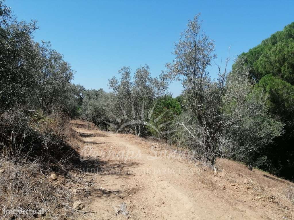 Quintinha - São Francisco da Serra-10