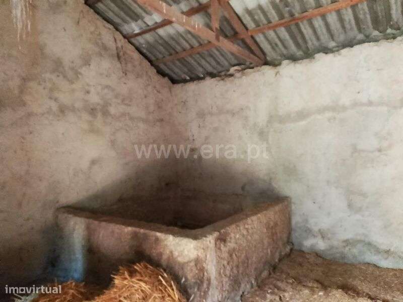 Quinta Estúdio / Covilhã, Orjais - Grande imagem: 3/16