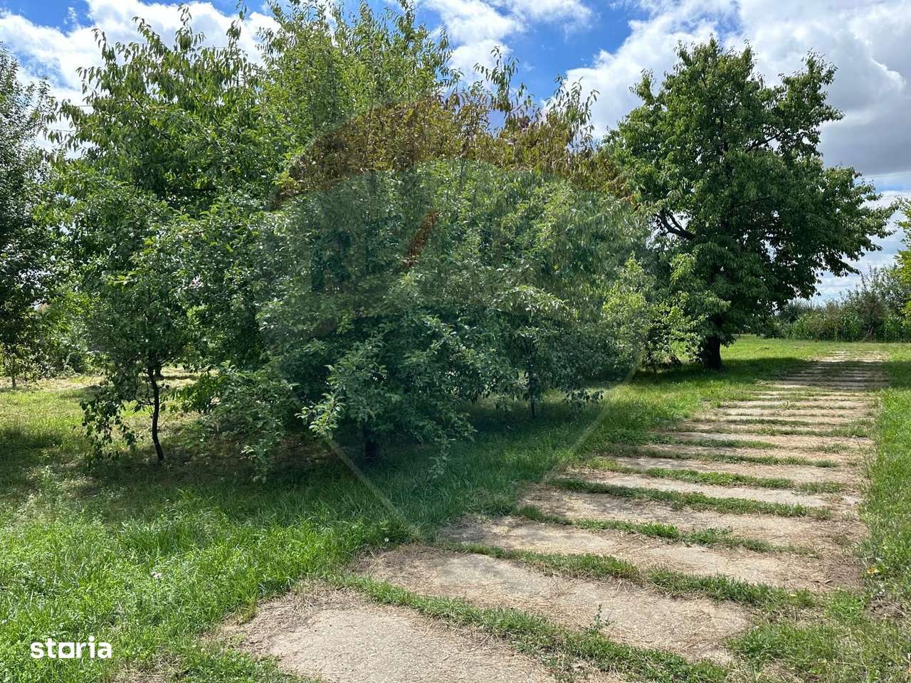 3.7 ha TEREN INTRAVILAN cu CASA si  BALTA PESTE - Imagine principală: 5/9