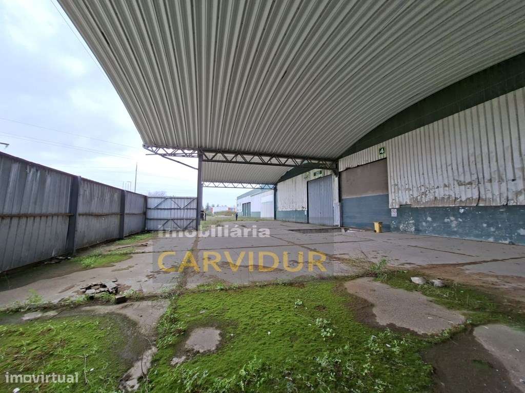 Armazém Industrial de Grande Dimensão - Parque Industrial da Mitren...-18