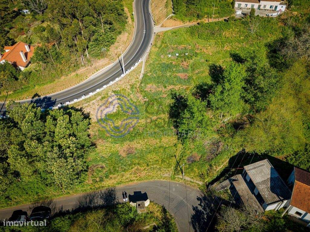 EXCLUSIVO! Terreno com 4.750m2 para construir e cultivar – Camacha - Grande imagem: 4/21