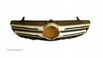 Atrapa grill Mercedes 253 - 1