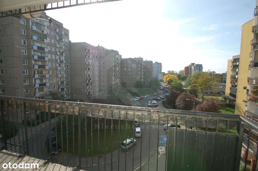 3 pok ZWM stan dewelop/nowe instalacje, grzejniki/-12