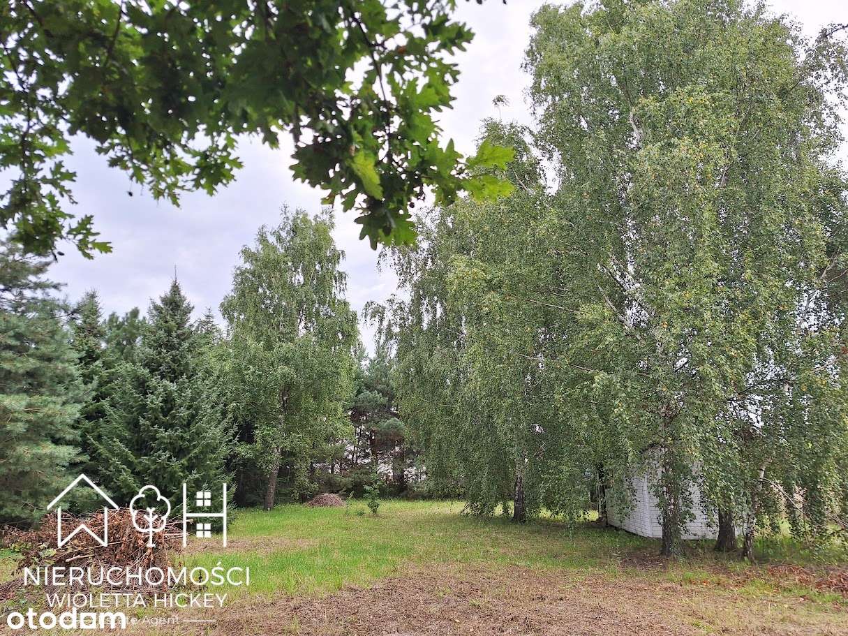 Działka z klimatem leśnym i dębem marzeń – Brwilno, gm. Stara Biała - Pełny obrazek: 4/19