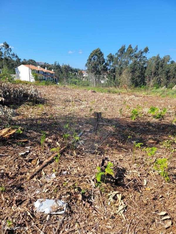Terreno  para venda - Grande imagem: 5/9