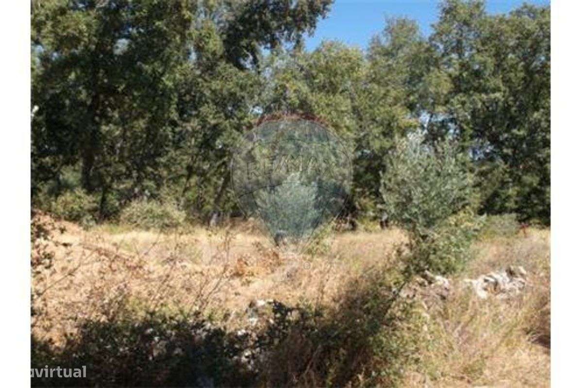 Casa de campo pronta a habitar-5