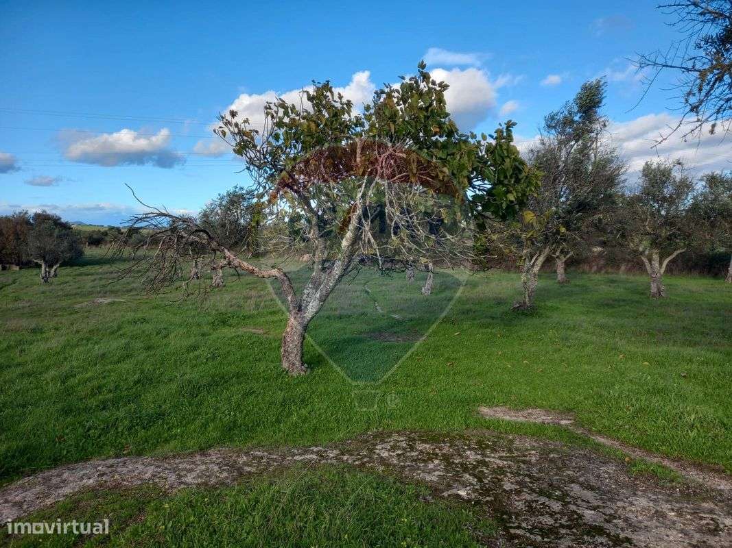 Terreno  para venda - Grande imagem: 4/11