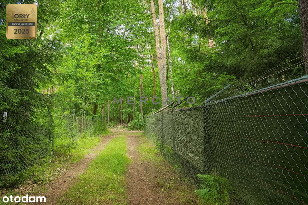 Działka 1 154 m² z 2 domkami - las i rzeka-7