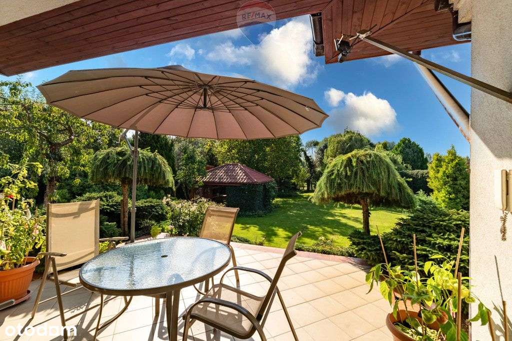 Dwupokoleniowy, Kampinos, działka do podziału - Pełny obrazek: 4/19