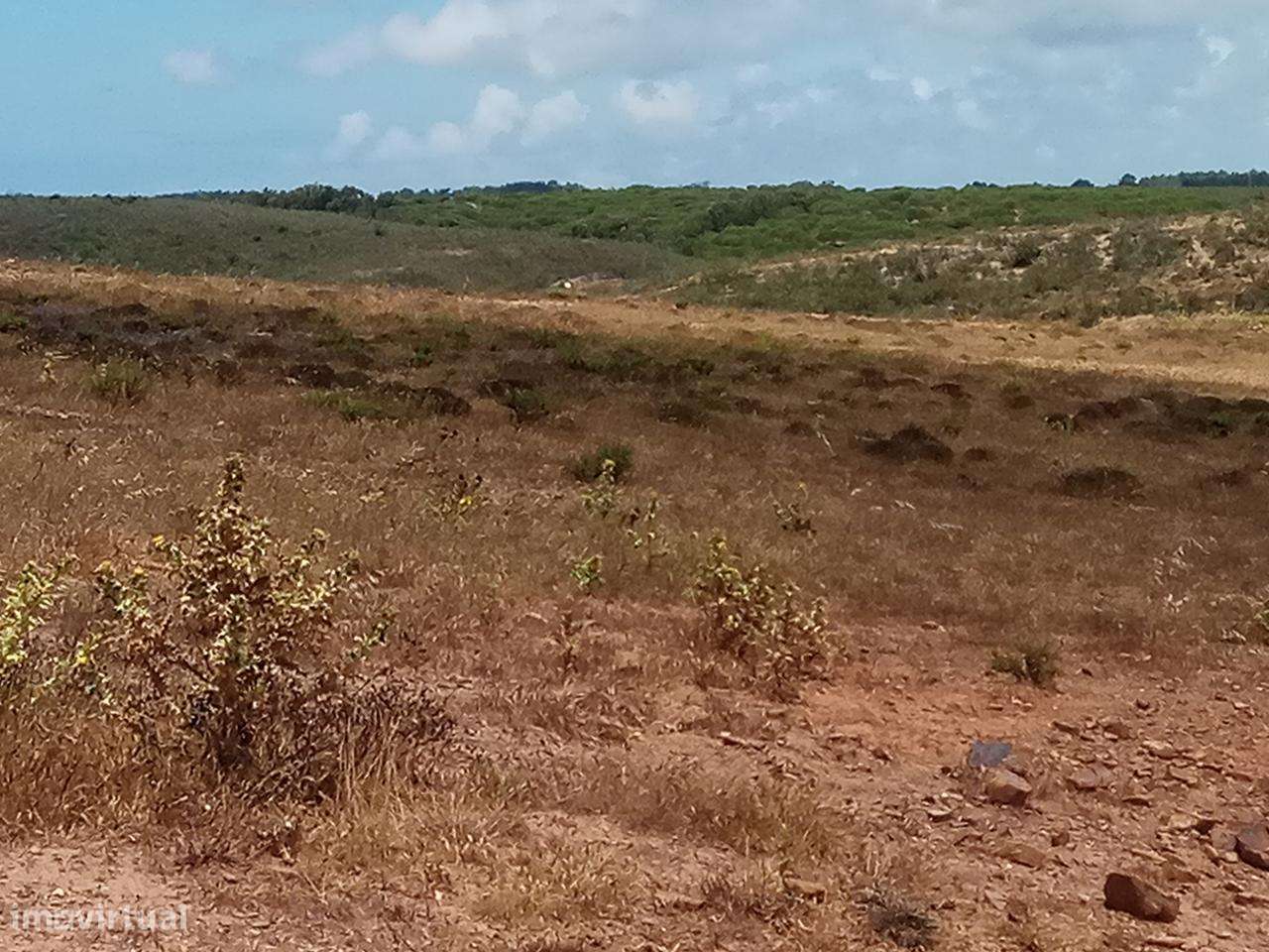 Terreno Rústico Currais Velhos - Vila do Bispo _ 664Lagos V13-11