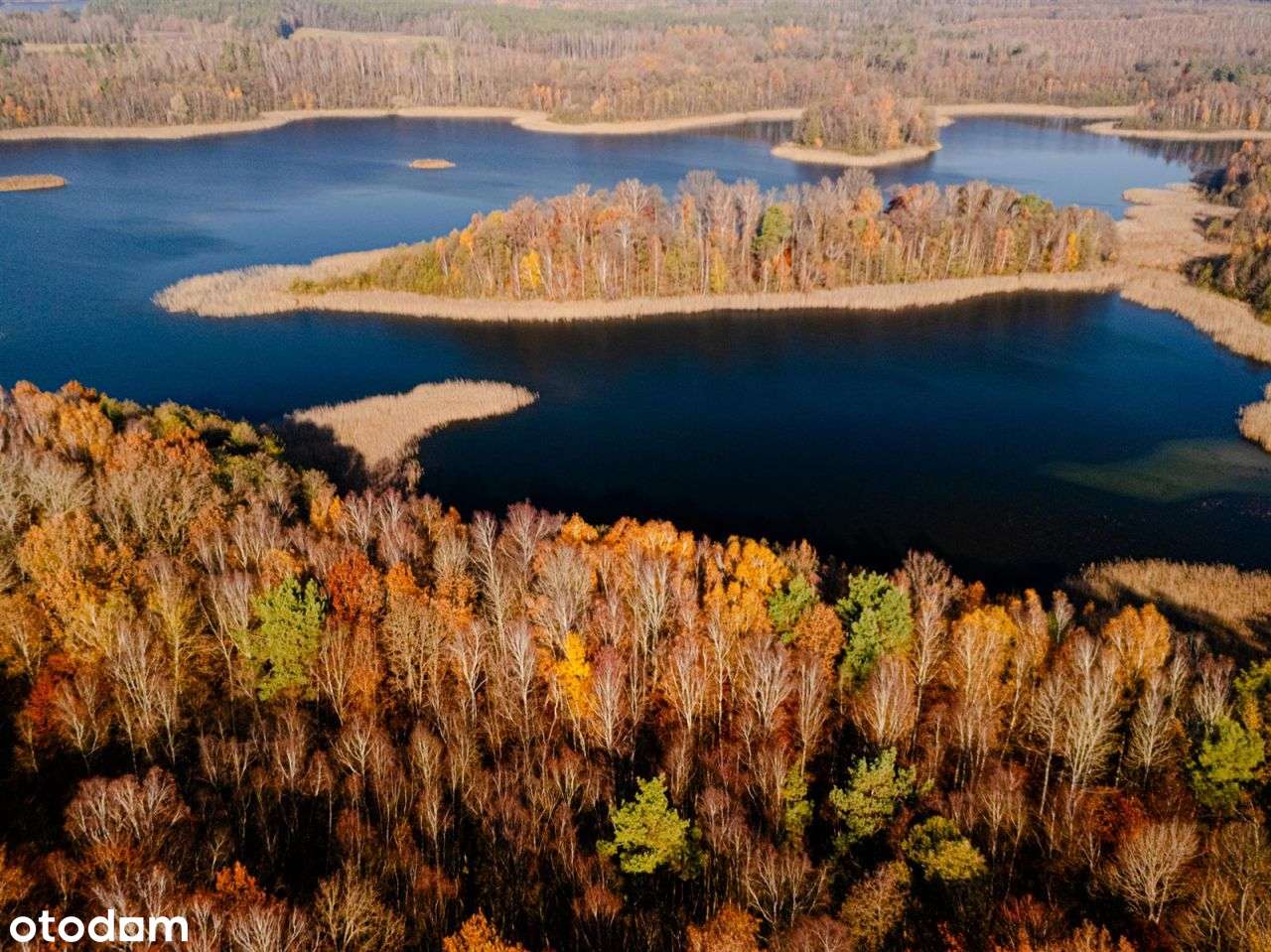 Działka siedliskowa - Krągi-15