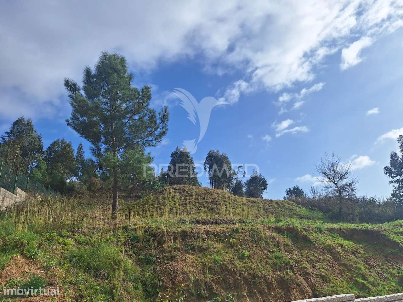 Terreno Rústico com parcela urbana, Casal Sentista, Torres Novas - Grande imagem: 4/24