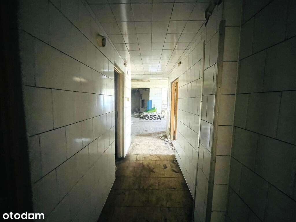 Dom, sklep, piekarnia, zakład w Starym Dłutowie - Pełny obrazek: 4/14