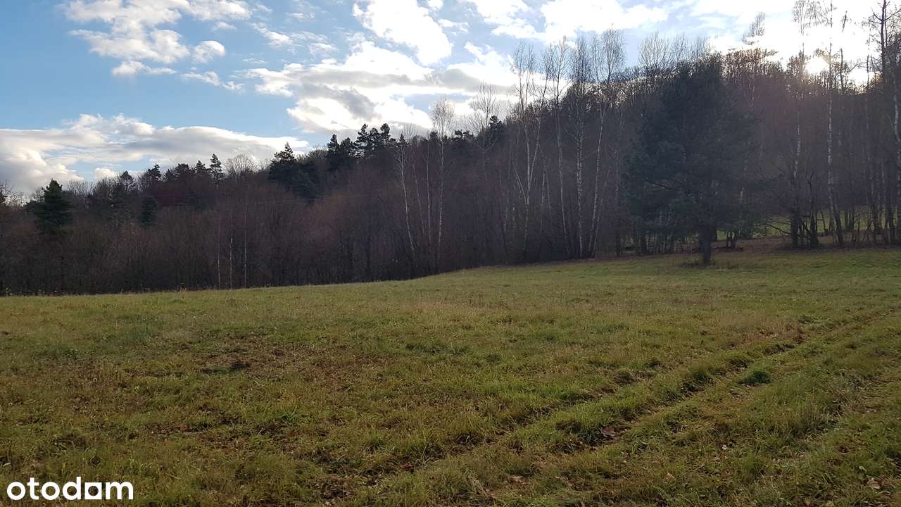 Uzbrojona działka widokowa na wzgórzu – 3 min od Soliny + własny las! - Pełny obrazek: 5/20