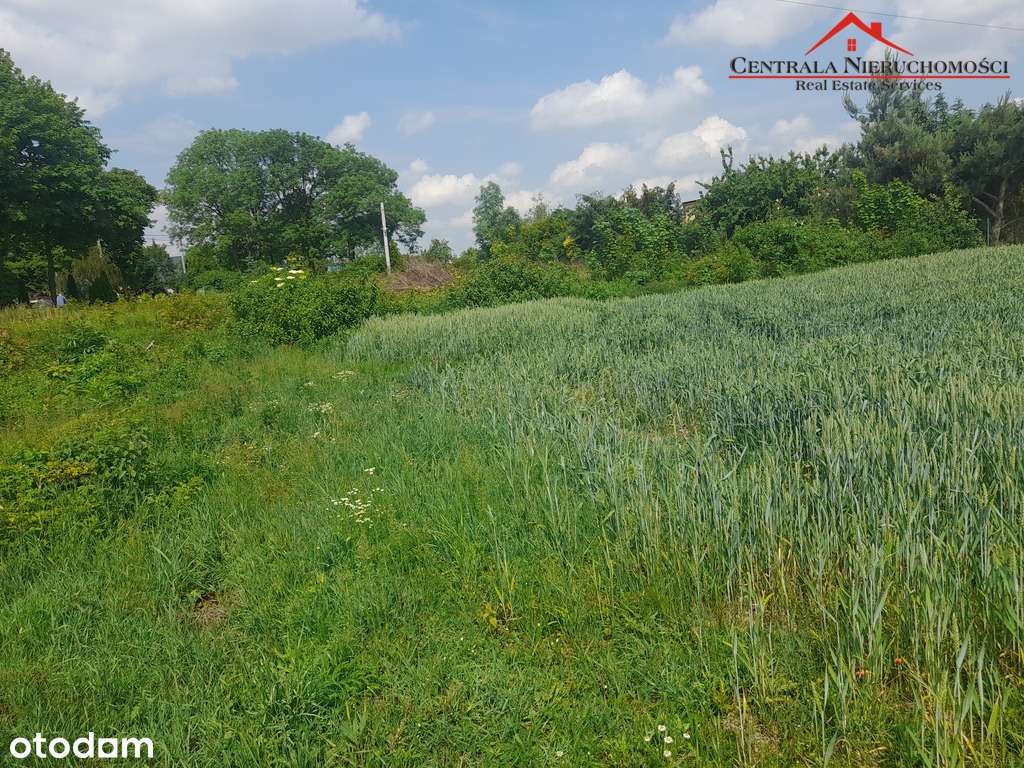 Działka w Różankowie/Świerczyny - Pełny obrazek: 4/11