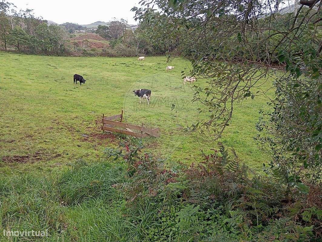 Terreno  para venda-3