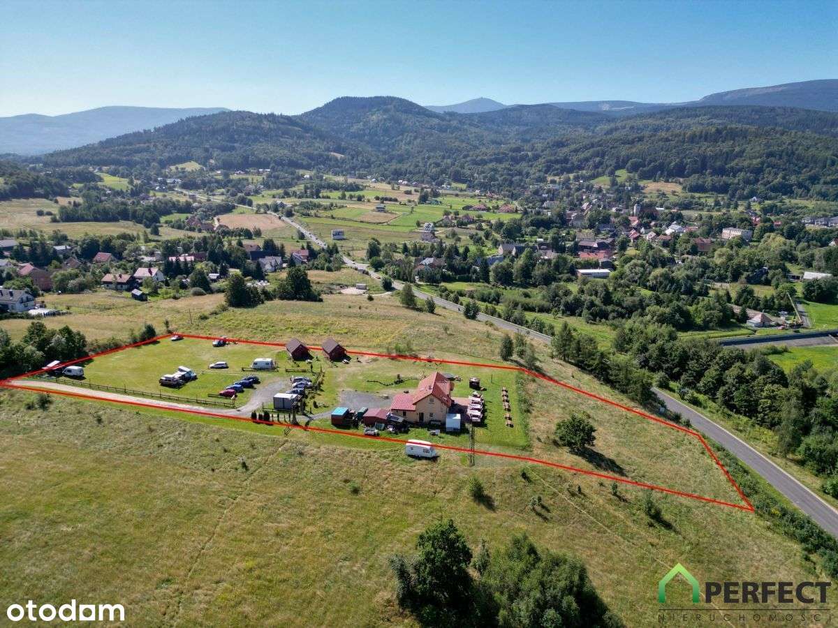 Złoty widok - Pełny obrazek: 4/6