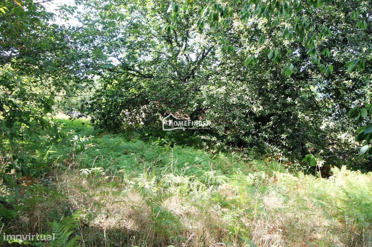 Moradia para Recuperar com Amplo Terreno e Potencial Infinito em Frian-25