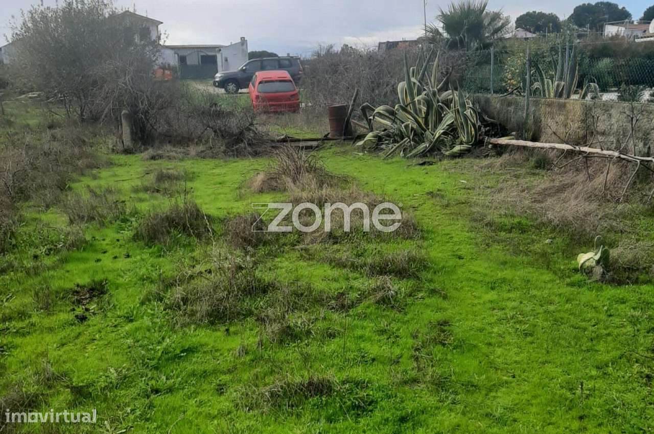 Terreno Rustico em Poceirão - Grande imagem: 5/9