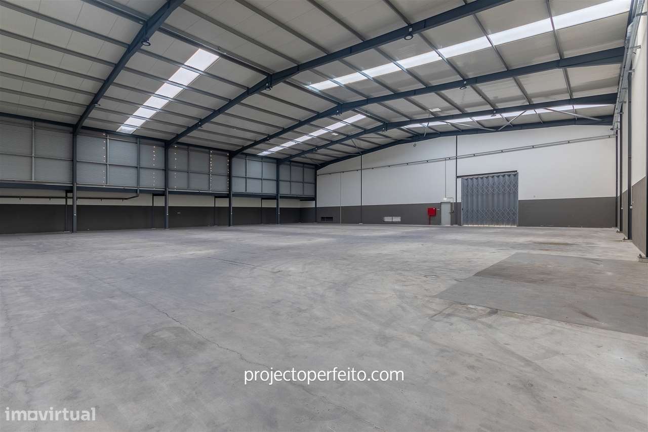 Armazém  Venda em Grijó e Sermonde,Vila Nova de Gaia - Grande imagem: 3/17