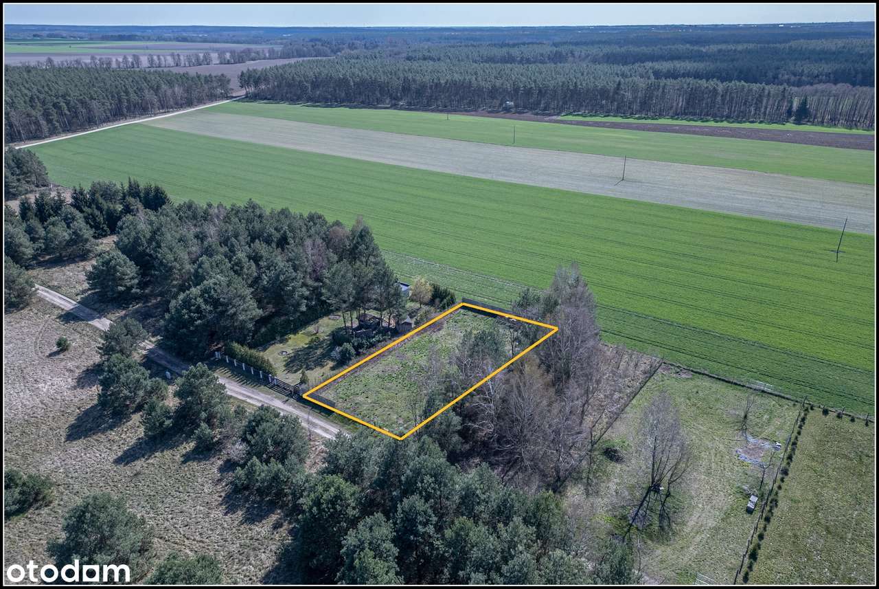 Ogrodzona działka rolna w Bednarach – inwestycja w ciszę i przestrzeń-6