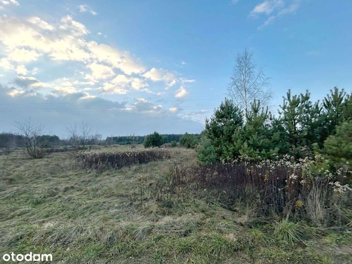 1296m2 z WZ blisko A2 Mistów pow. miński-0