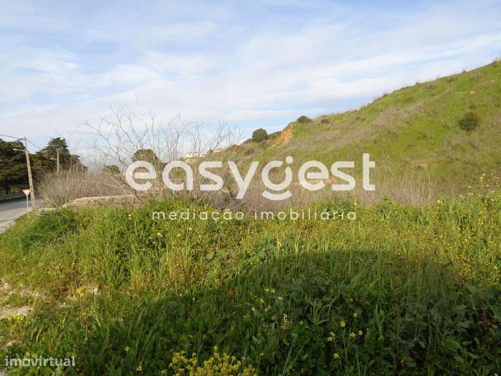 Terreno Rústico Urbanizável com 7.750 m2 no Zambujal - Sesimbra - Grande imagem: 5/8
