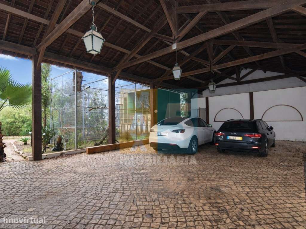 Quinta com 4.880 m2 - Alpiarça-37