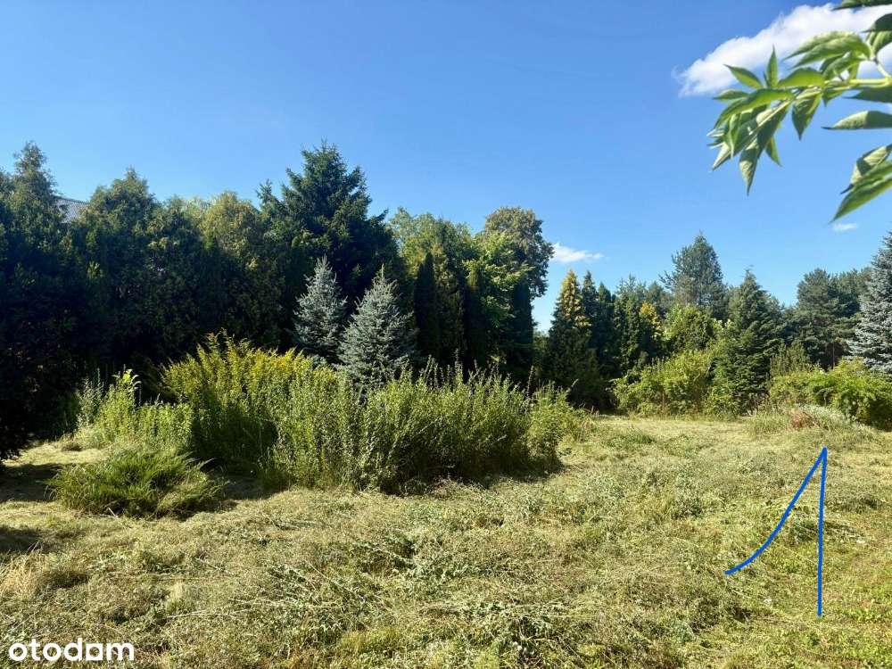 Działka budowlana Zwódne ogrodzona, WZ, droga wewnętrzna! 170 zł - Pełny obrazek: 4/17