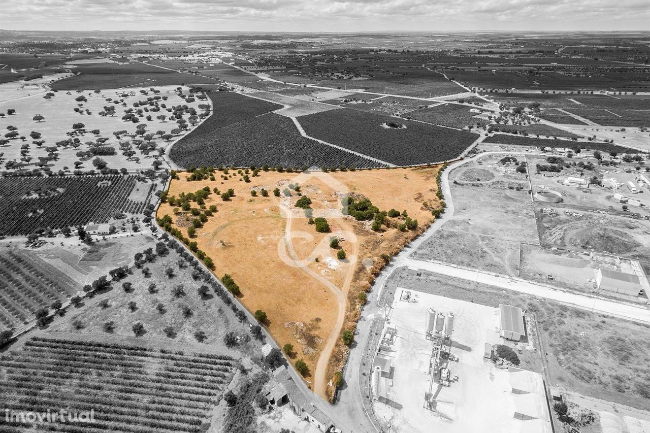 Terreno com 36 500 m2 para construção | Reguengos de Monsaraz