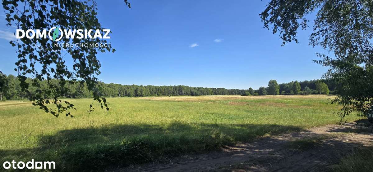 Twoja działka pod wymarzony dom - 1013 m2 - Pełny obrazek: 5/7