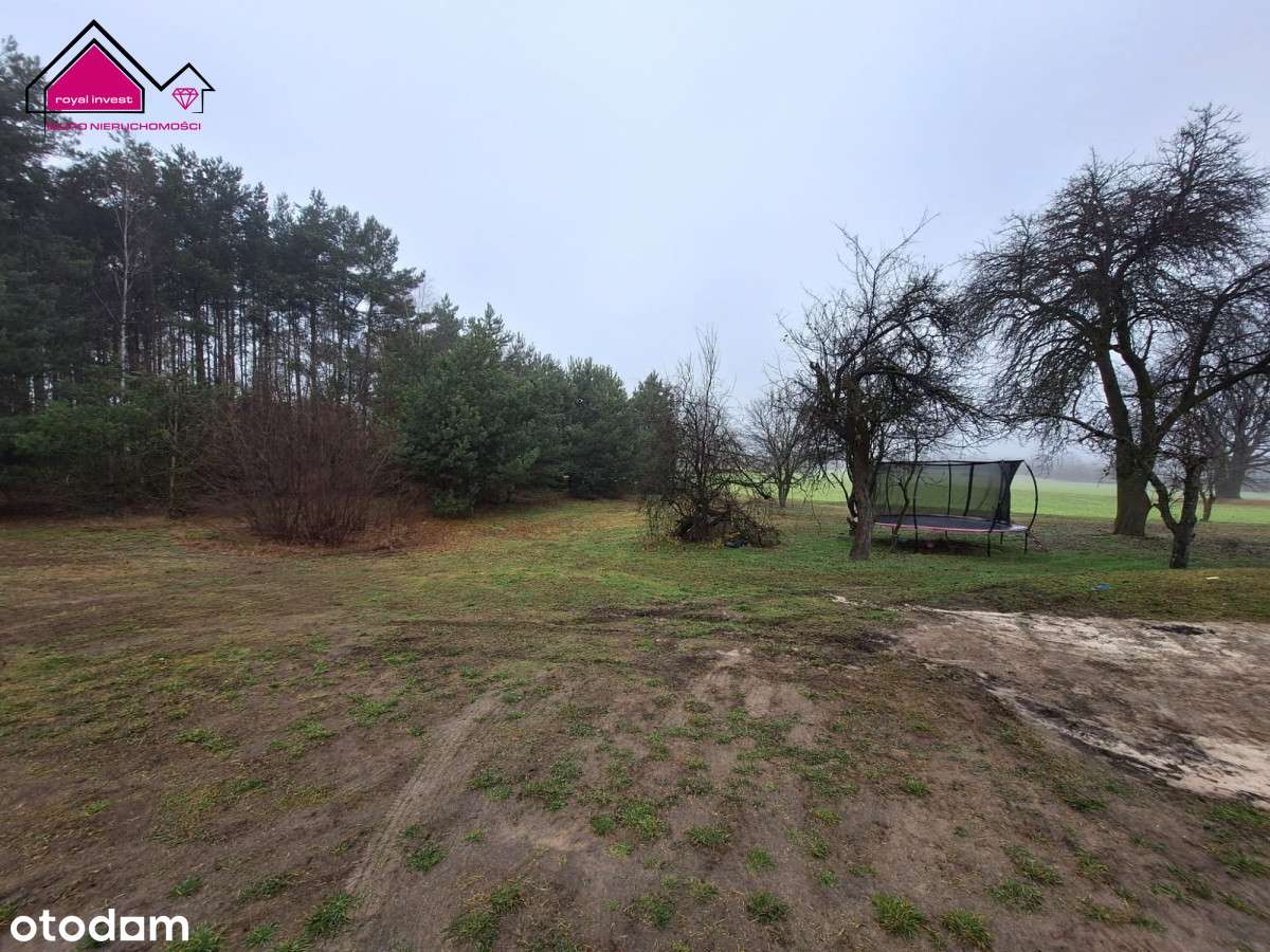 Działka z lasem - zabudowania w cenie gruntu-7